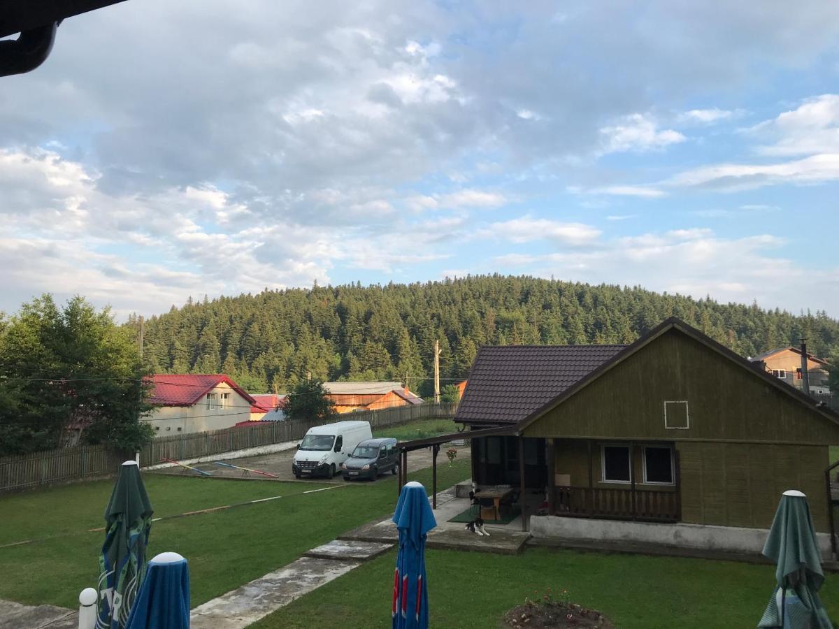 Casa Postolache Hostel Szovezsa Kültér fotó